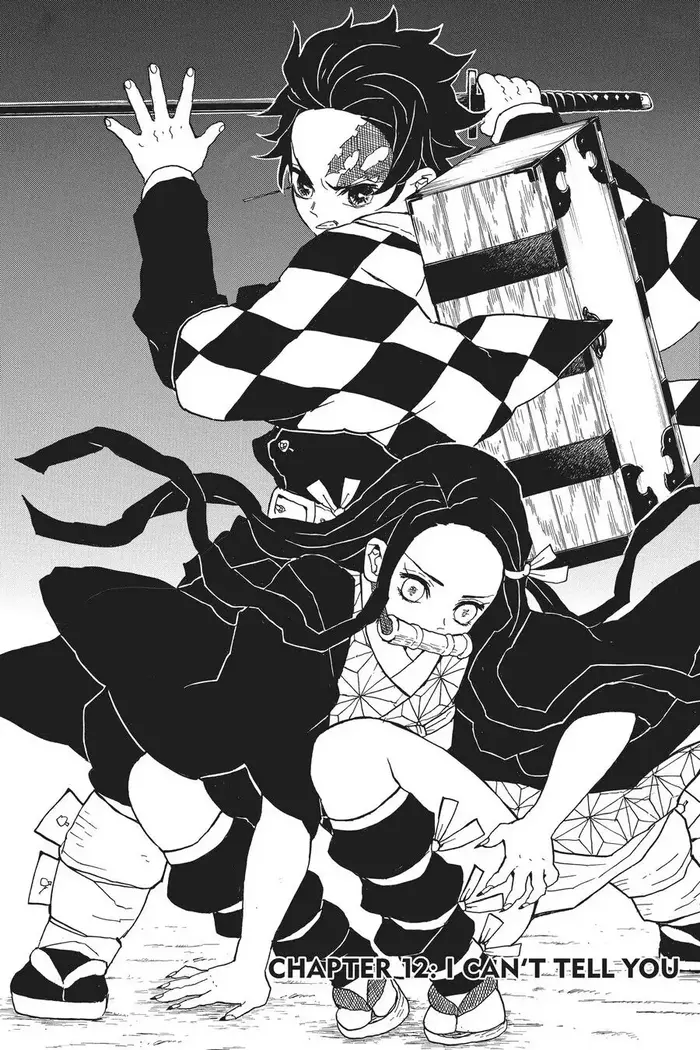 Demon Slayer Chapter 12 image 01_optimized